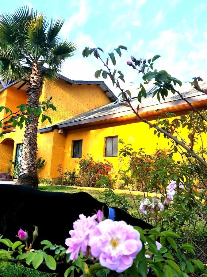 ラ・セレナ Casa Feliceゲストハウス エクステリア 写真