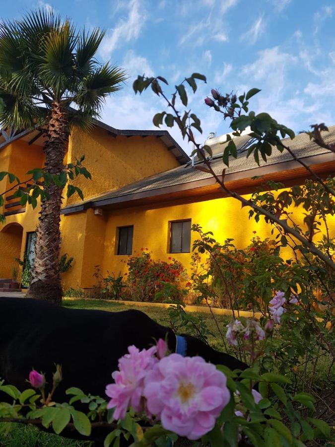 ラ・セレナ Casa Feliceゲストハウス エクステリア 写真