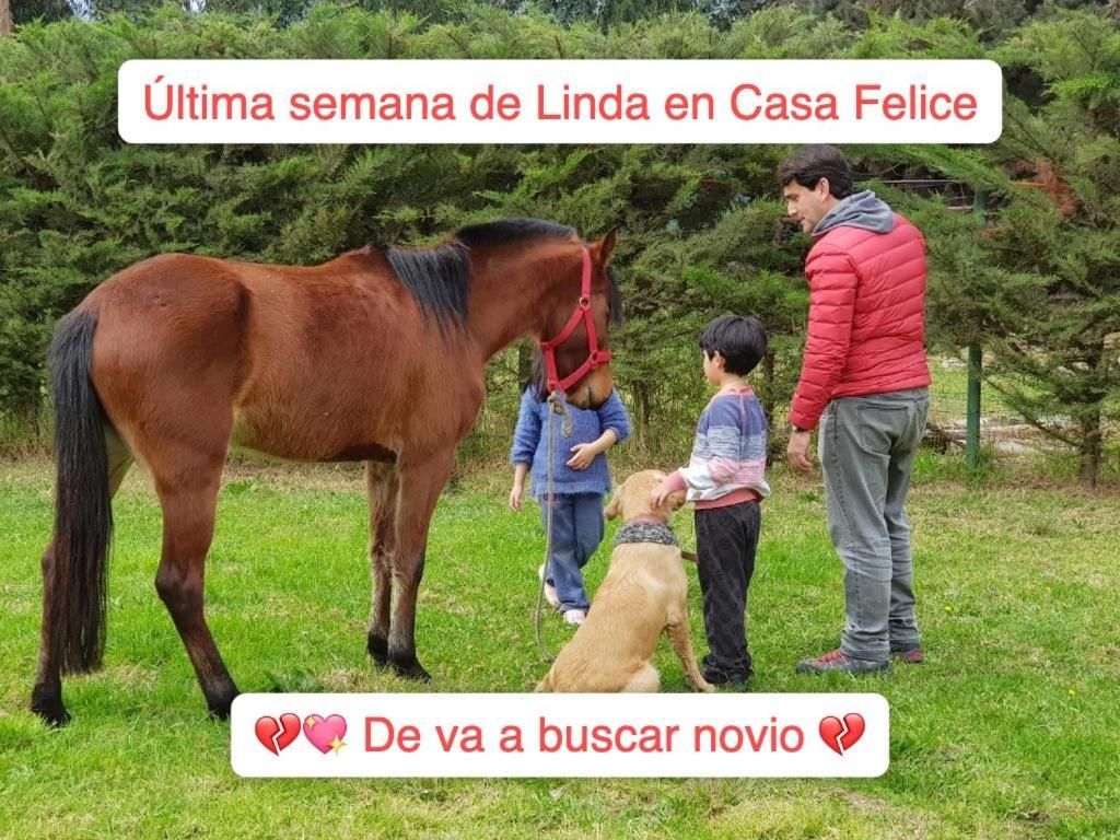 ラ・セレナ Casa Feliceゲストハウス エクステリア 写真
